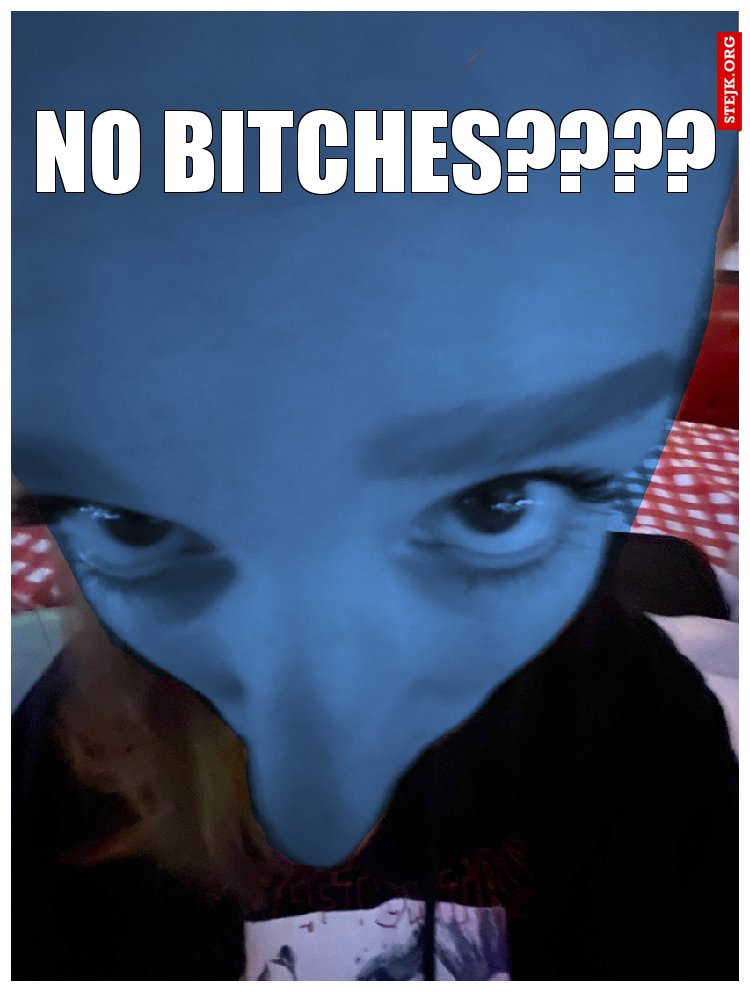 NO BITCHES????