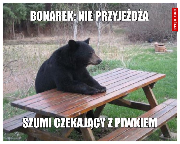 Bonarek: nie przyjeżdża