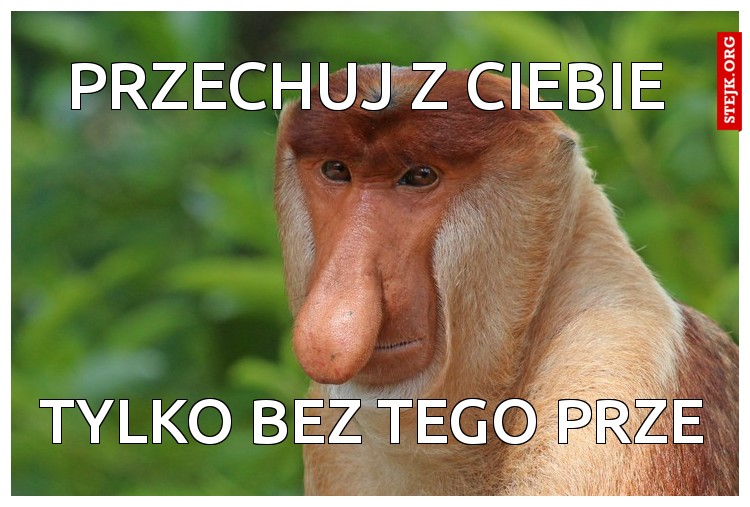 Tylko bez tego prze