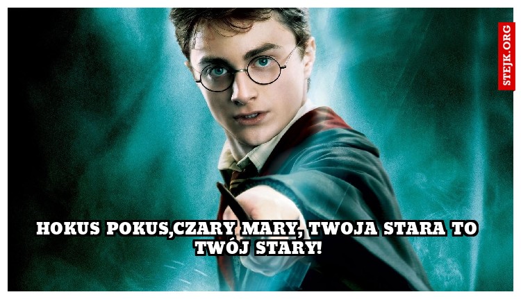 harry potter