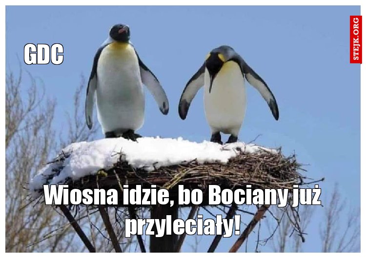 Wiosna idzie, bo Bociany juz przyleciały!