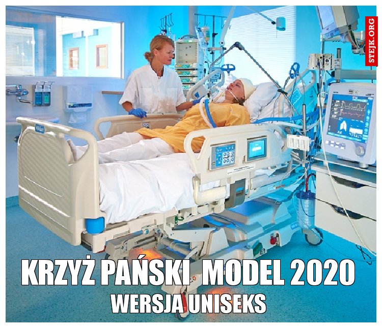 Krzyż Pański  model 2020