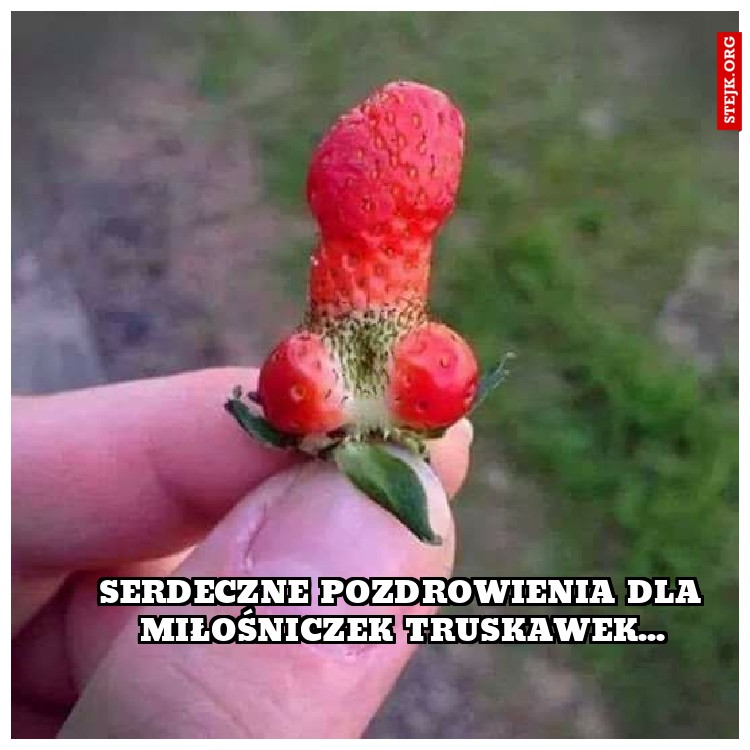 serdeczne pozdrowienia dla miłośniczek truskawek...