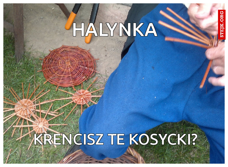 Halynka 