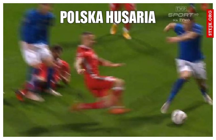 polska husaria