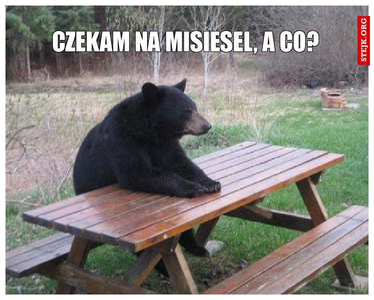 Czekam na misiesel, a co?