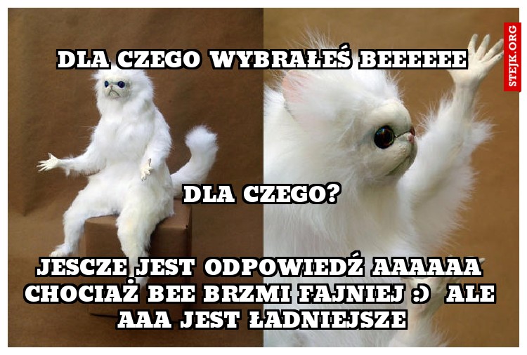 dla czego wybrałeś BEEEEEE