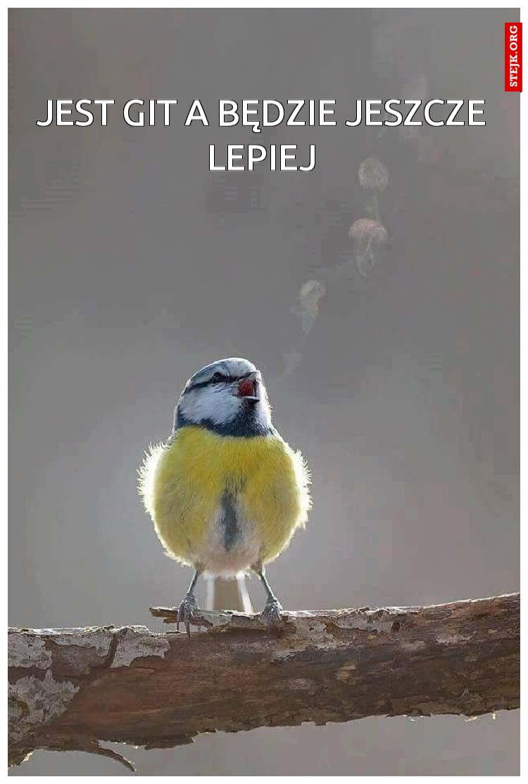 JEST GIT A BĘDZIE JESZCZE LEPIEJ