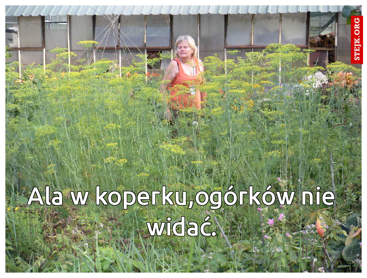 Ala w koperku,ogórków nie widać.