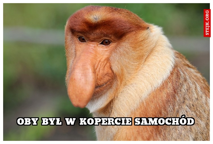 Oby był w kopercie samochód
