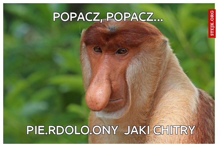  pie.rdolo.ony  jaki chitry