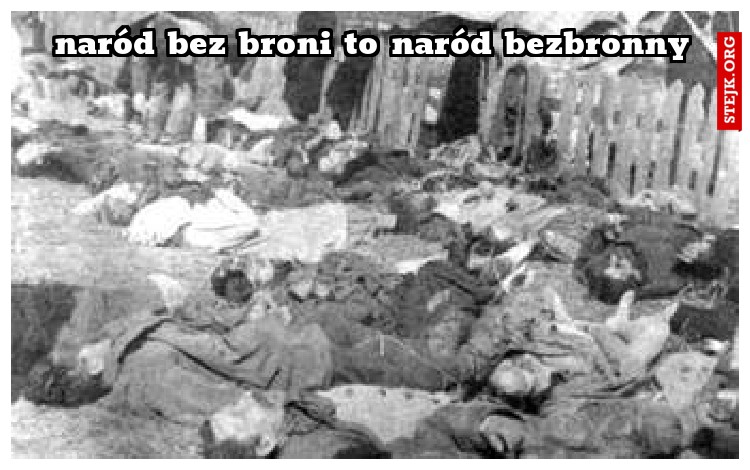 naród bez broni to naród bezbronny