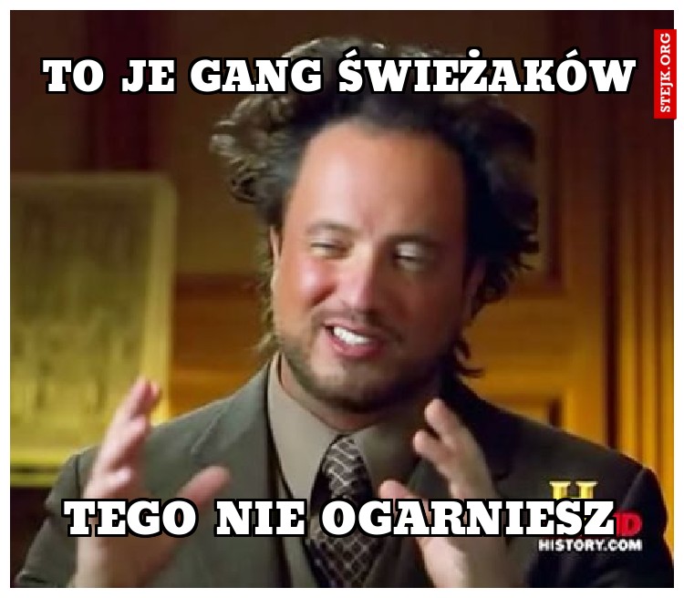 To je gang świeżaków