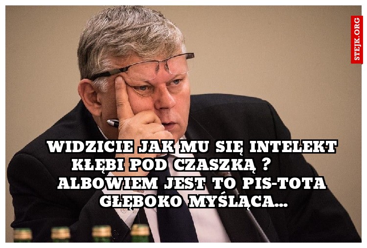 widzicie jak mu się intelekt kłębi pod czaszką ?        albowiem jest to pis-tota głęboko myśląca...