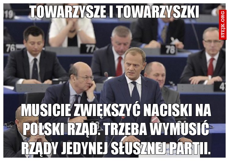 Towarzysze i towarzyszki
