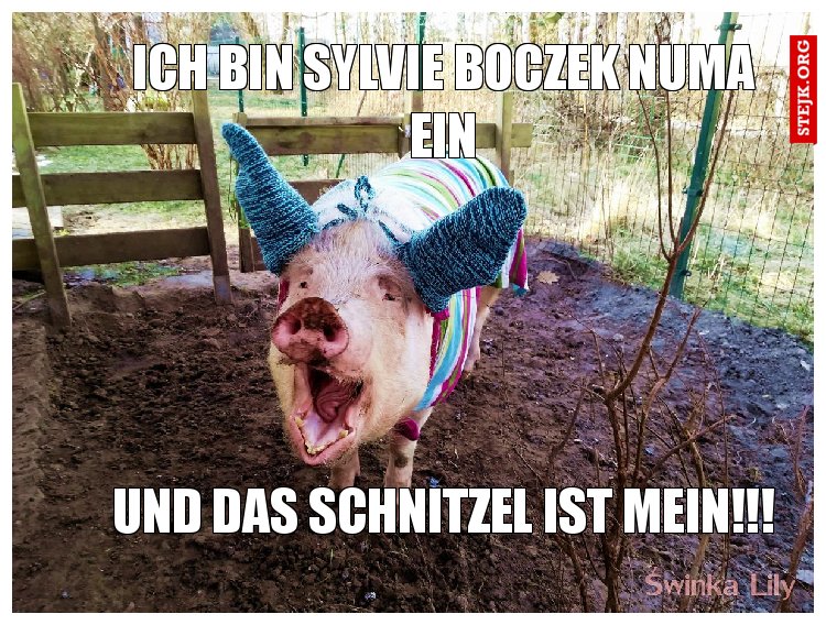 Ich bin Sylvie boczek numa ein