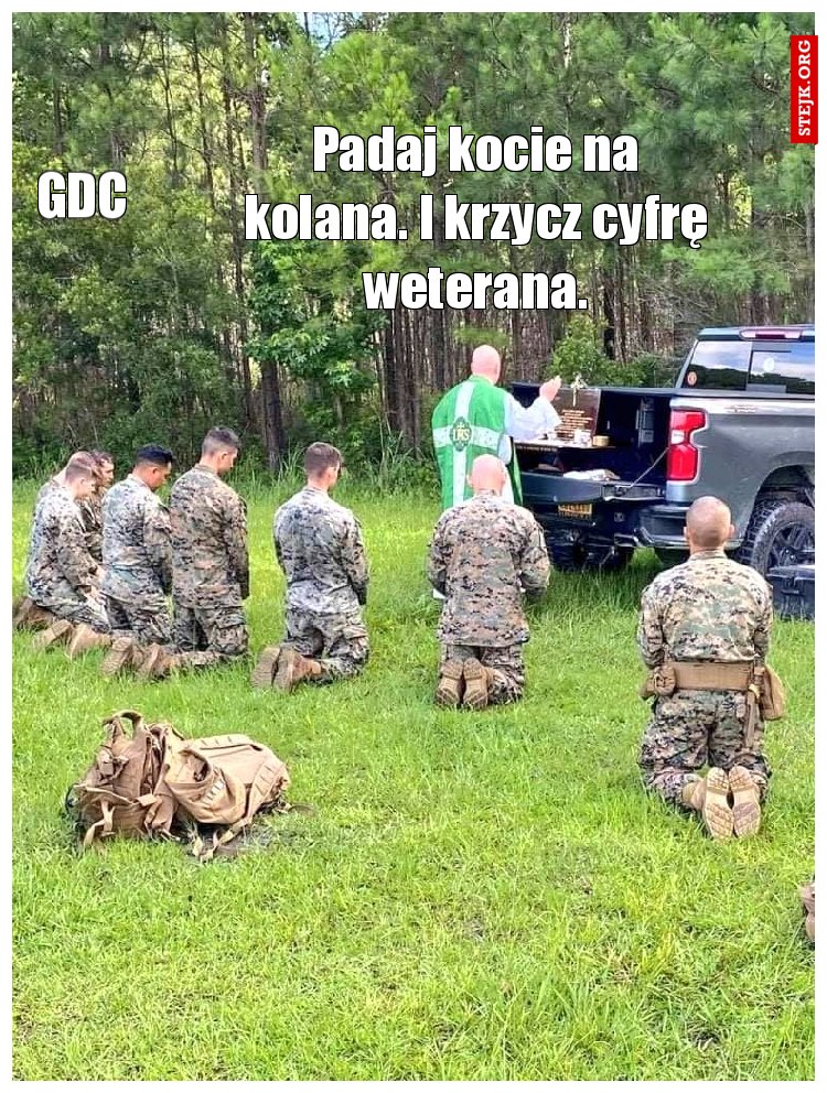 Padaj kocie na kolana. I krzycz cyfrę weterana.