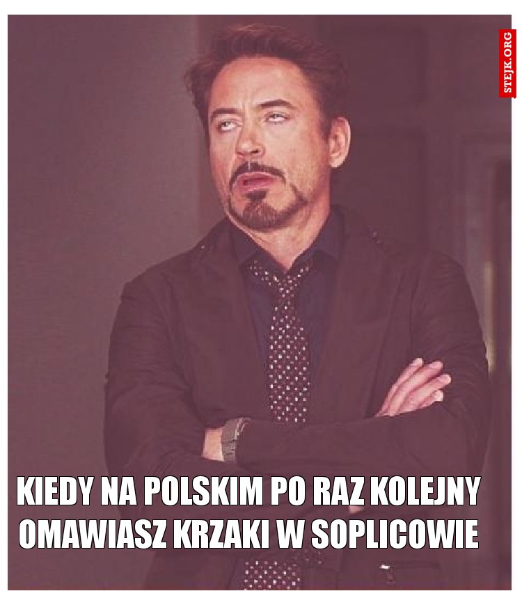 Kiedy na polskim po raz kolejny omawiasz krzaki w soplicowie