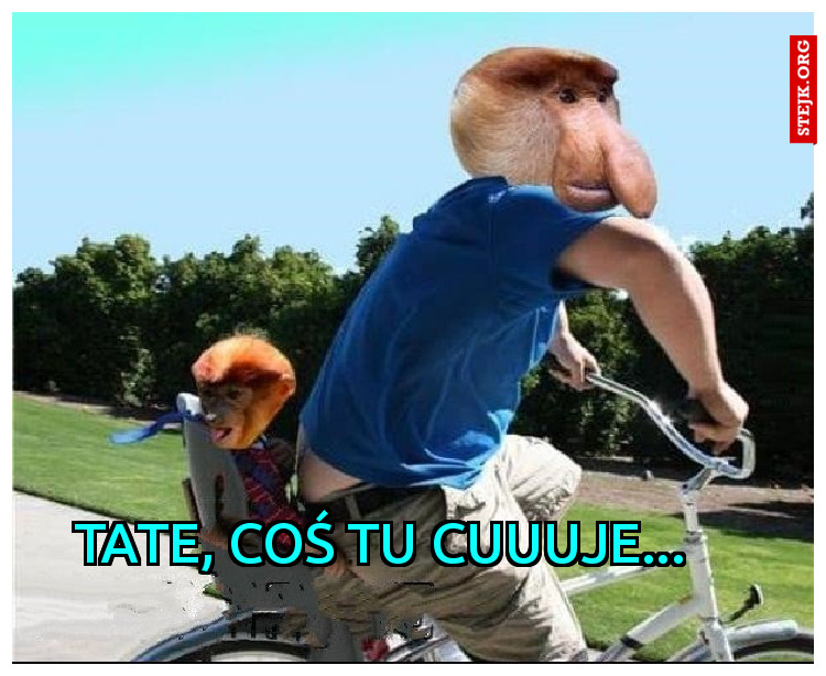 TAte, Coś tu cuuuje...
