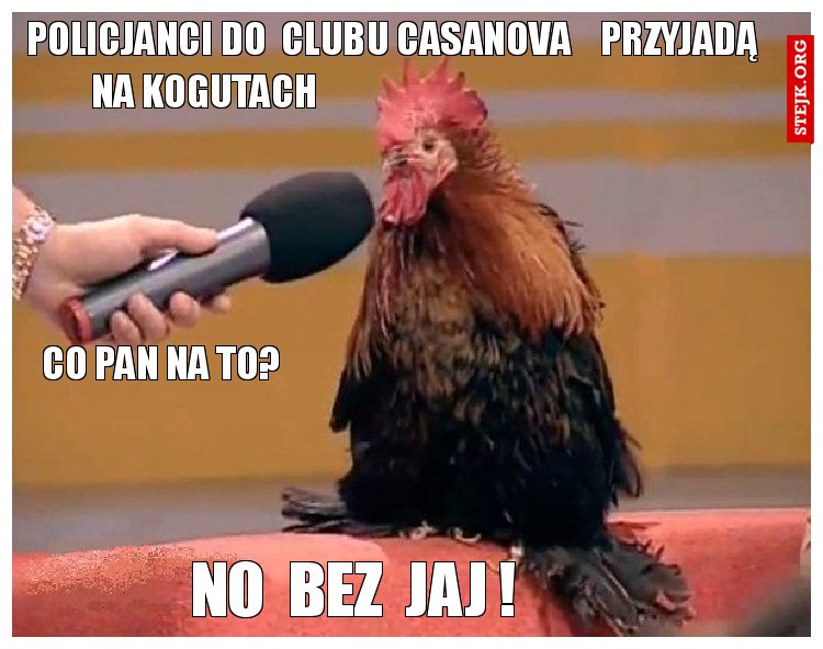 policjanci do  clubu casanova    przyjadą na kogutach                                                   
