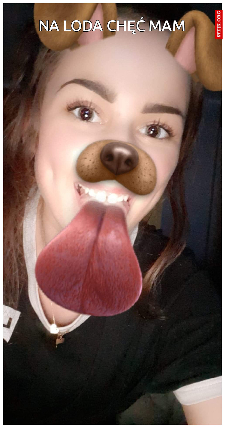 Na loda chęć mam
