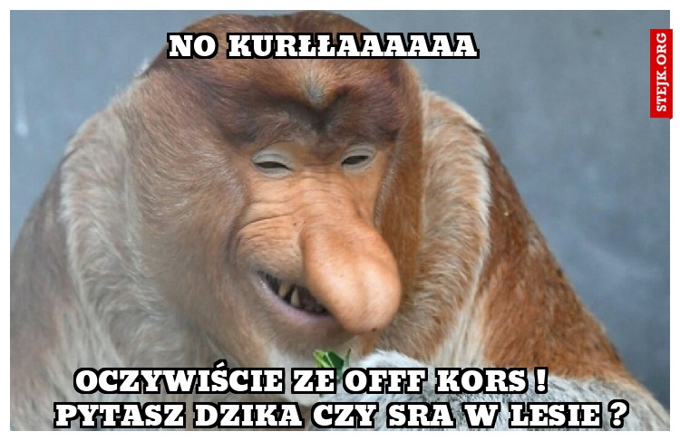 NO KURŁŁAAAAAA