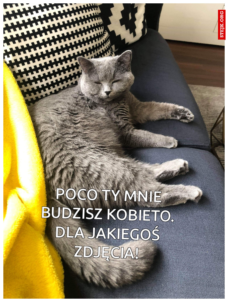 Poco ty mnie budzisz kobieto. Dla jakiegoś zdjęcia!