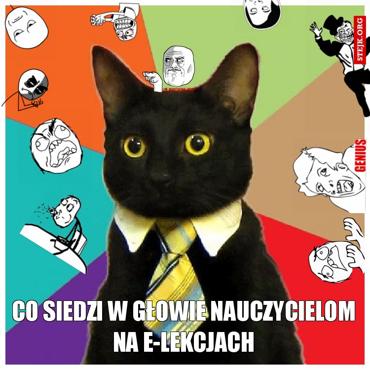 co siedzi w głowie nauczycielom na e-lekcjach