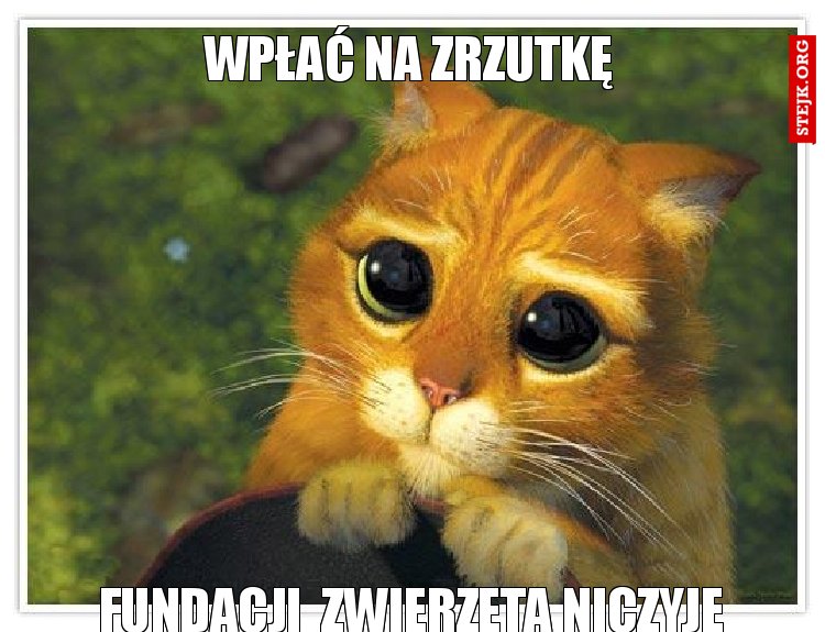 wpłać na zrzutkę