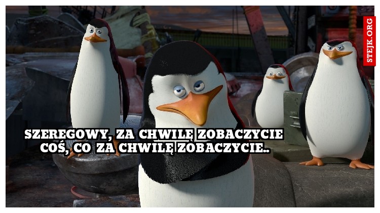 Szeregowy, za chwilę zobaczycie coś, co za chwilę zobaczycie..