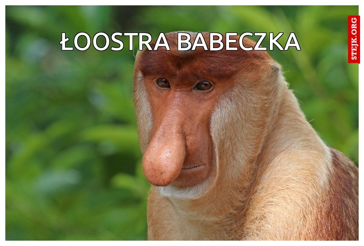 Łoostra babeczka