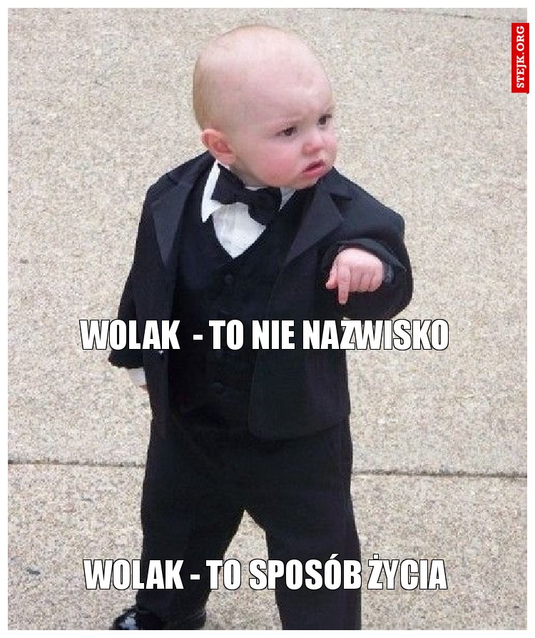 WOLAK - TO SPOSÓB ŻYCIA