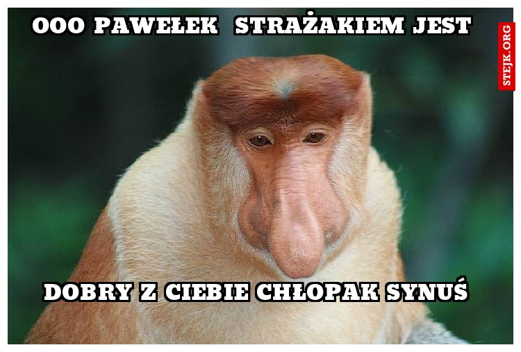 Ooo Pawełek  strażakiem jest