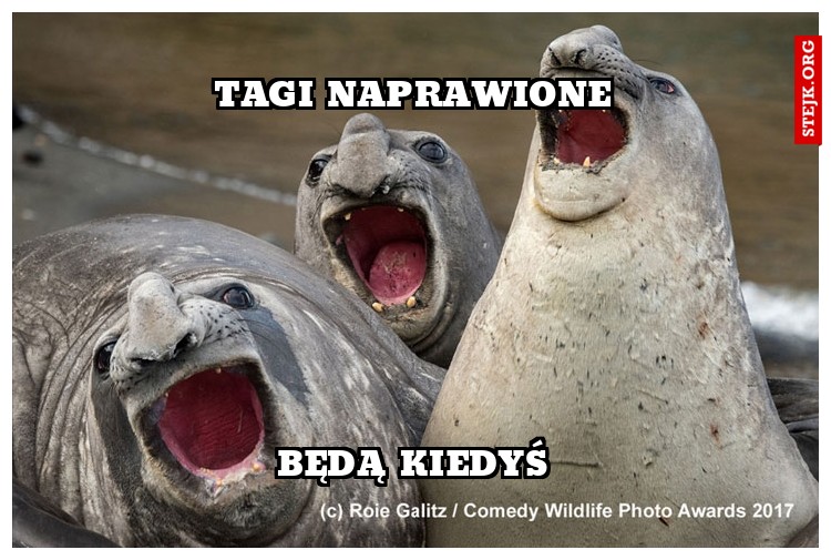 Tagi naprawione