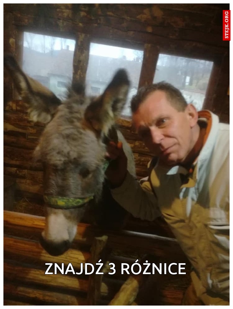 Znajdź 3 różnice