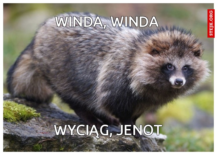 winda