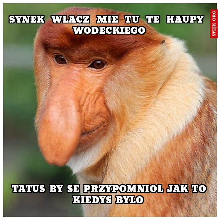 SYNEK  WLACZ  MIE  TU  TE  HAUPY  WODECKIEGO