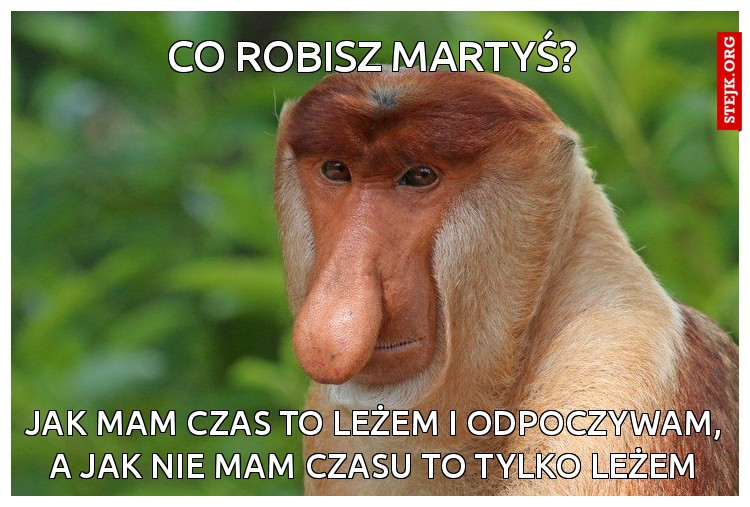 CO ROBISZ MARTYŚ?2