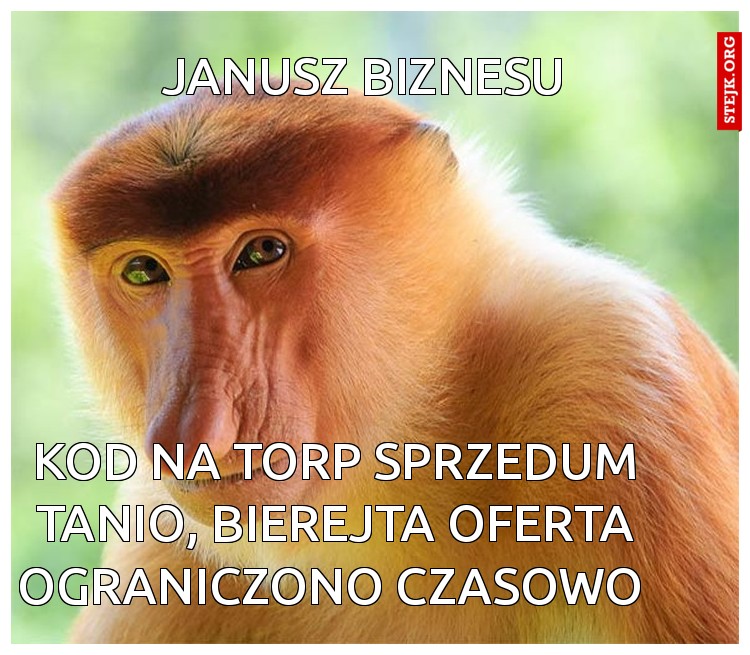 Janusz biznesu 
