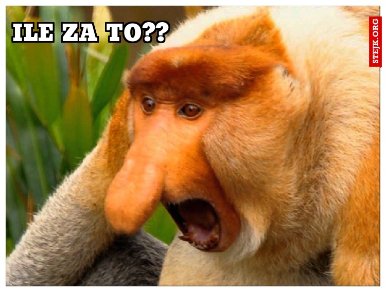 ILE ZA TO??