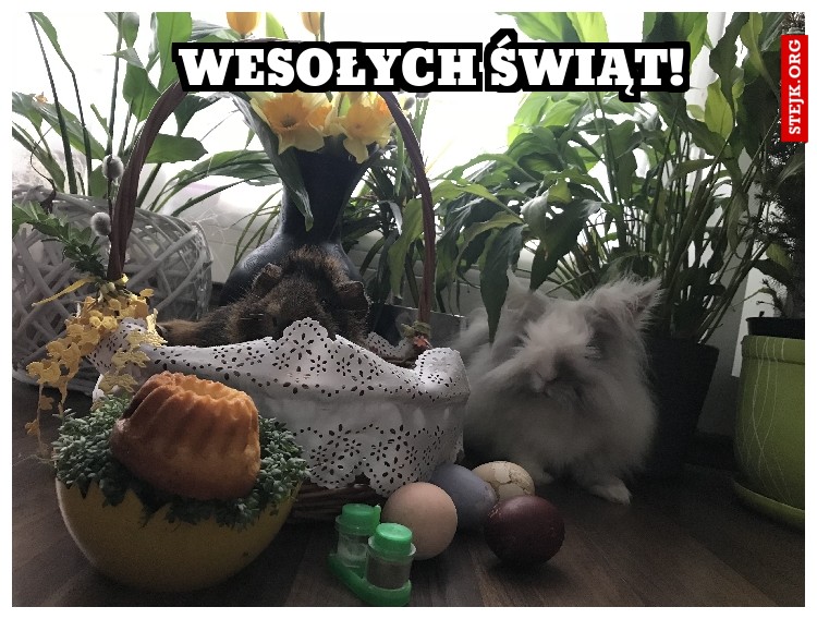 Wesołych Świąt!