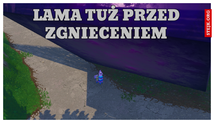 LAMA TUż przed zgnieceniem