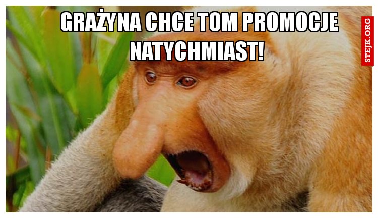 Grażyna chce tom promocje natychmiast! 