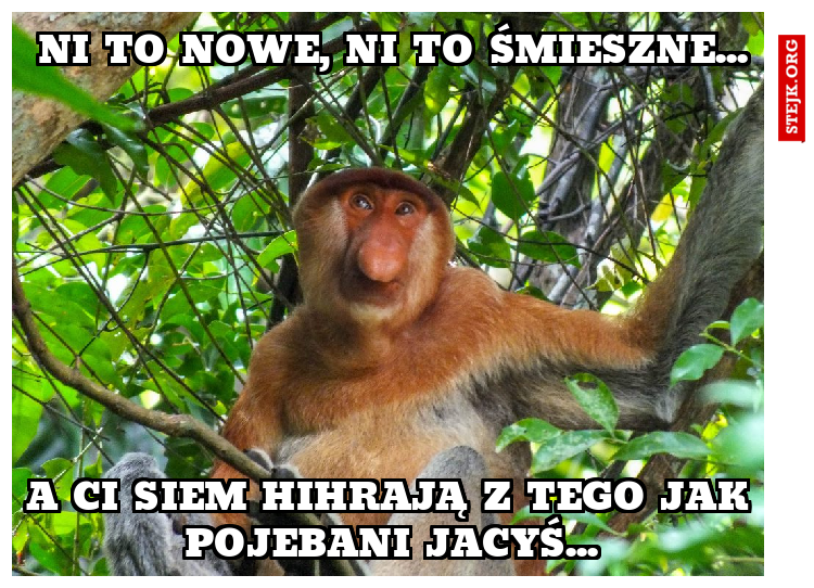 Ni to nowe, ni to śmieszne...