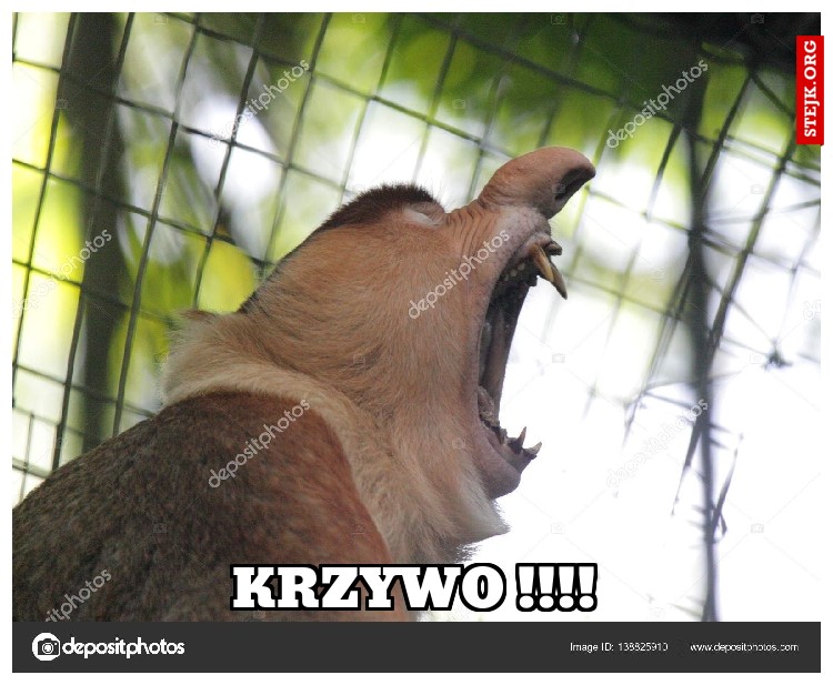 KRZYWO !!!!