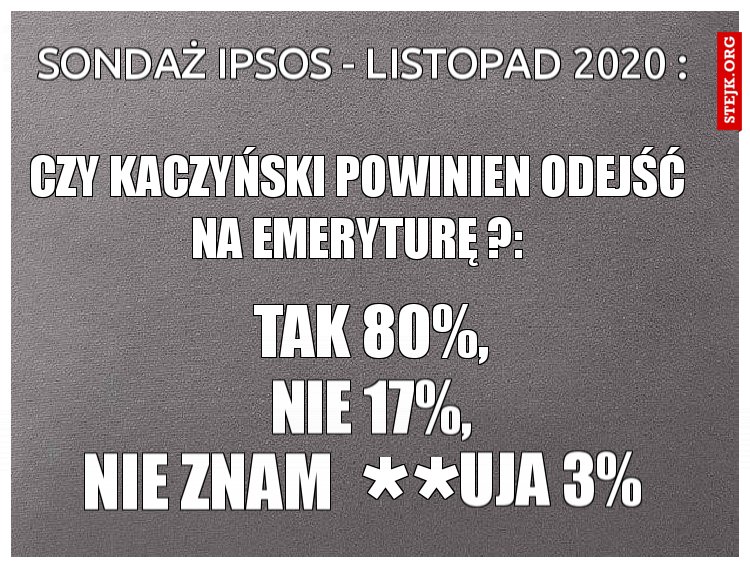 Sondaż Ipsos - listopad 2020 :