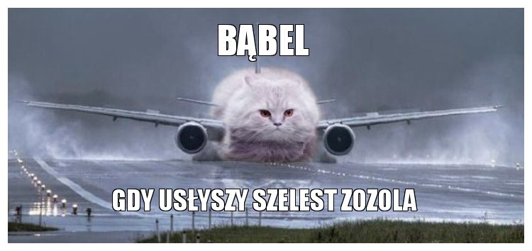 Bordel de miaou