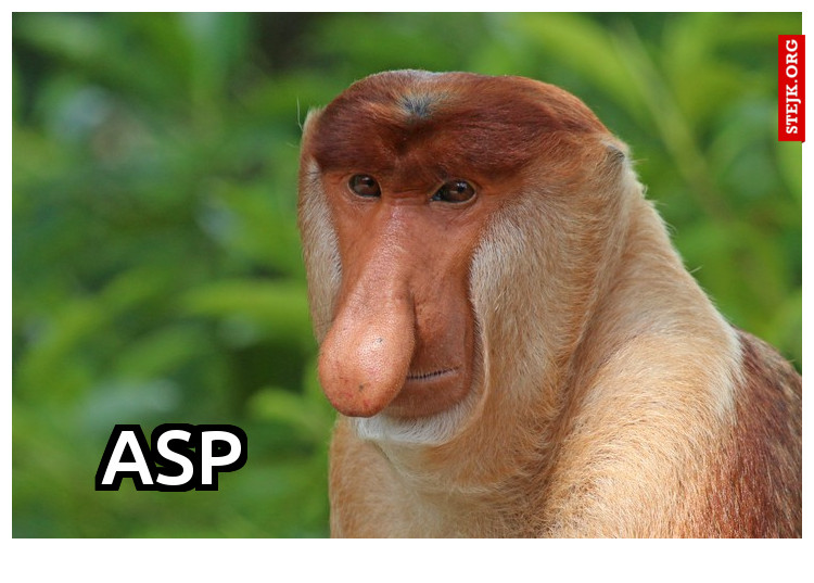 asp                          