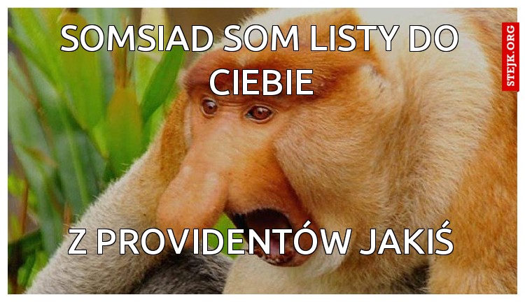 SOMSIAD SOM LISTY DO CIEBIE