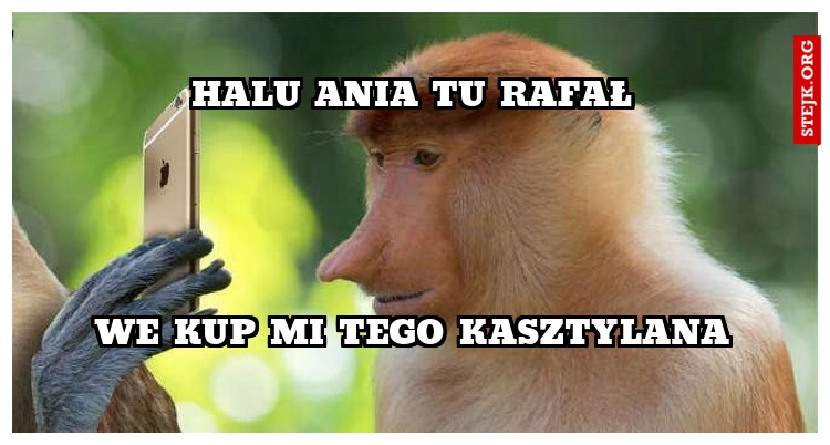 WE KUP MI TEGO KASZTYLANA